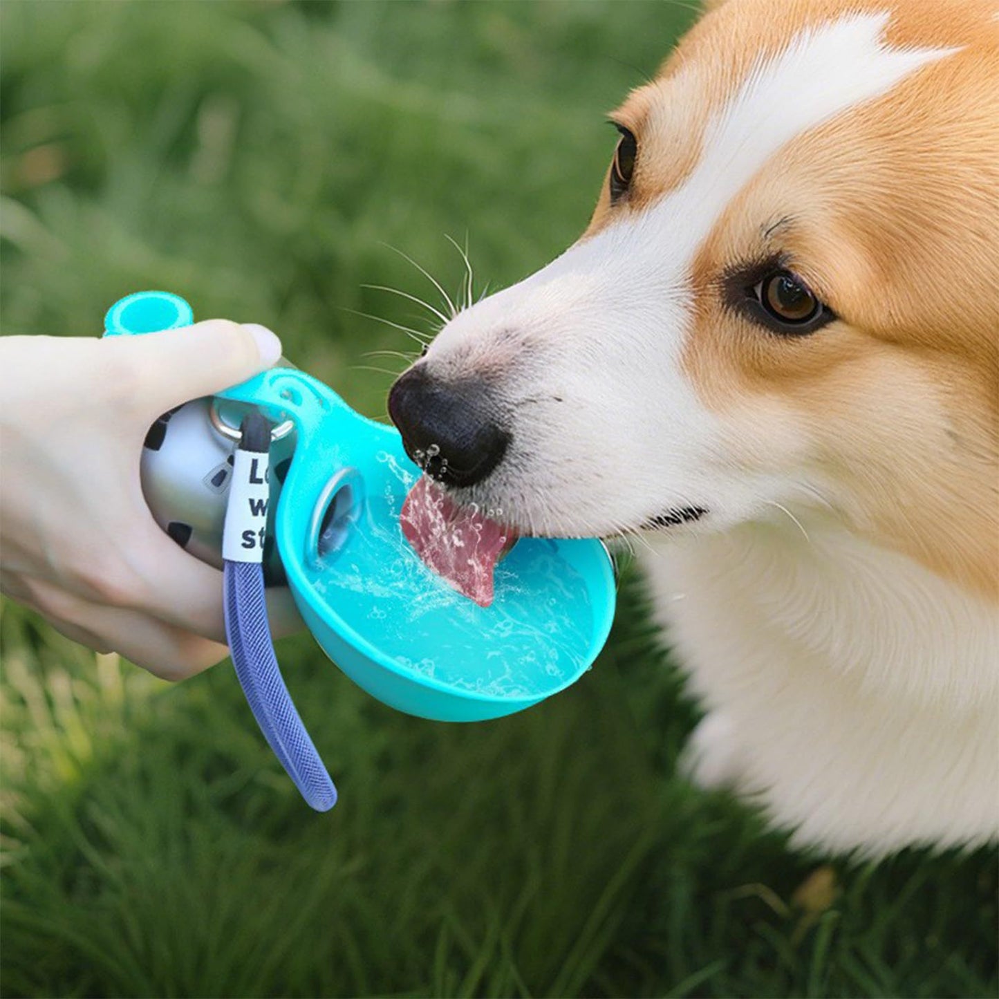 Foldable Stainless Steel Outdoor Pet Water Bowl